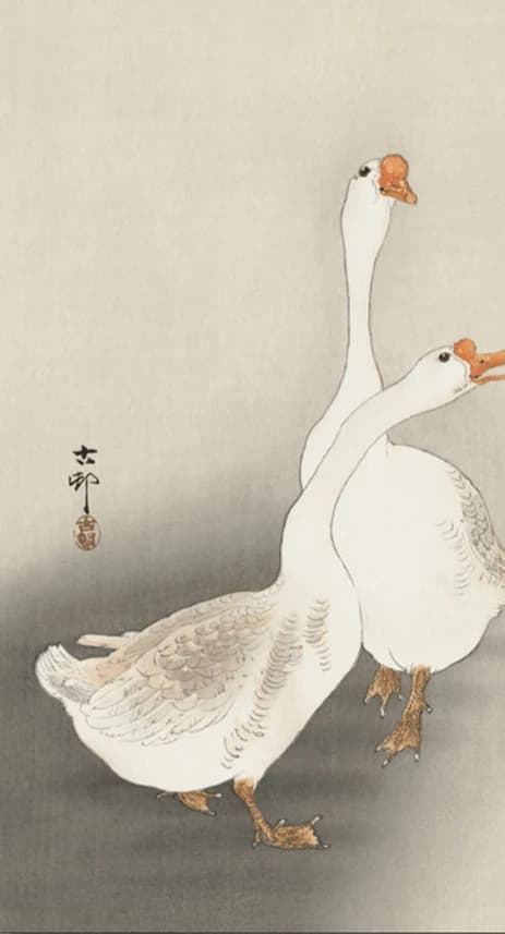 Twee ganzen – Ohara Koson