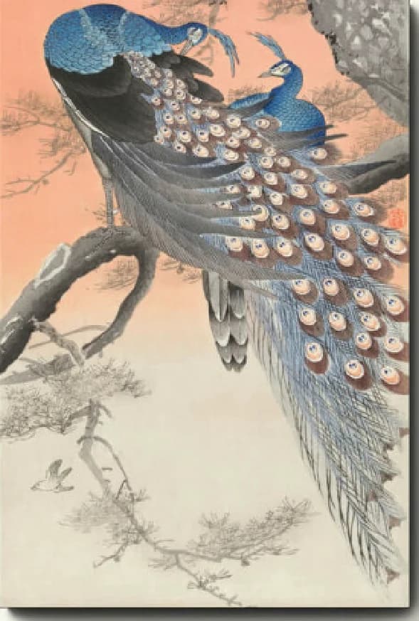 Twee pauwen op de boomtak – Ohara Koson