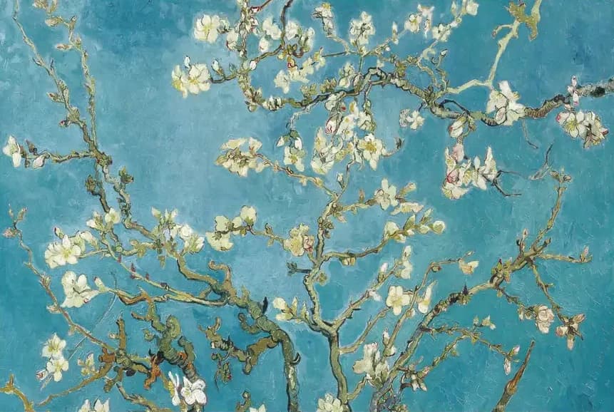 Van Gogh's Amandelbloesem – Vincent van Gogh