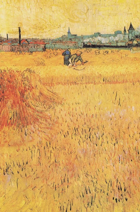 Korenveld met gezicht op Arles – Vincent van Gogh