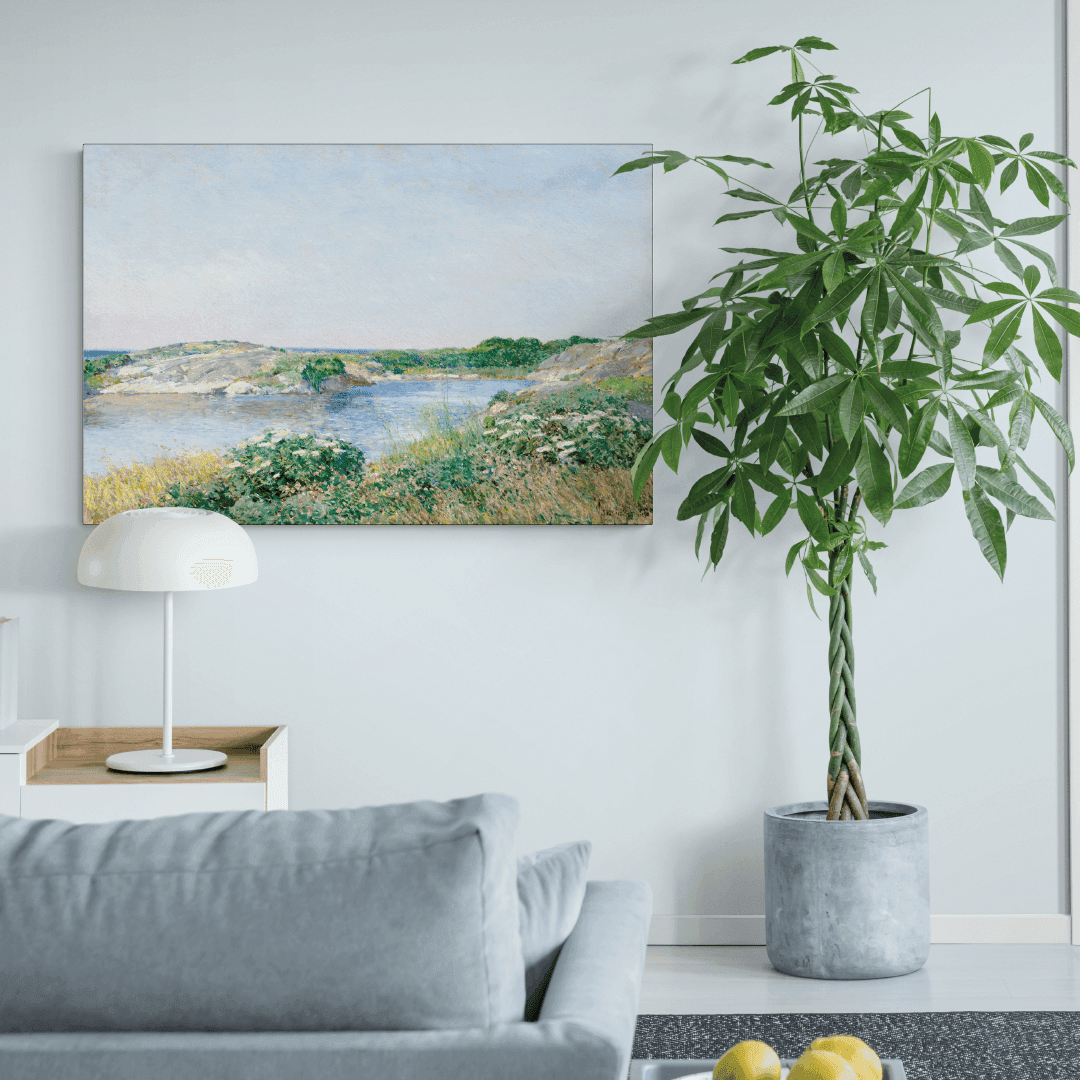 De kleine vijver aan de muur, kamer