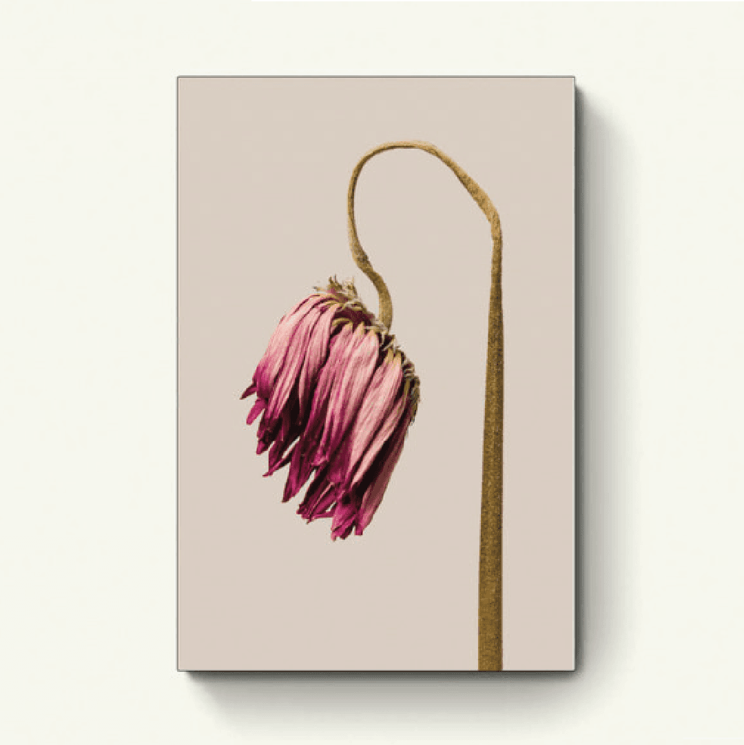 Etherische bloem