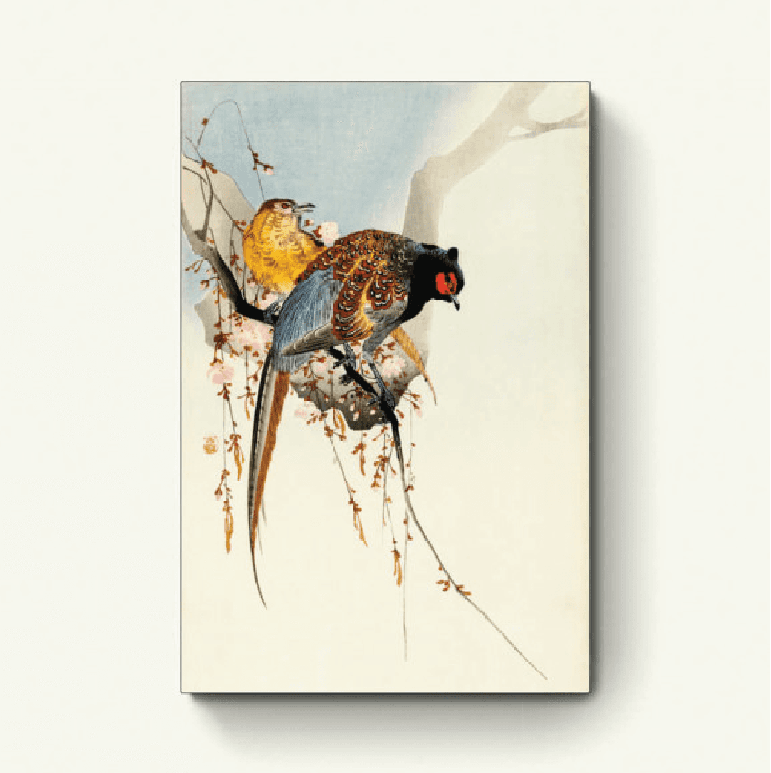 Fazant koppel en bloesem – Ohara Koson