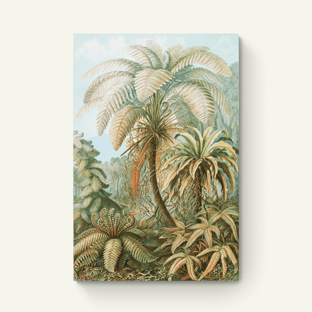 Filicinae–Varens – Ernst Haeckel
