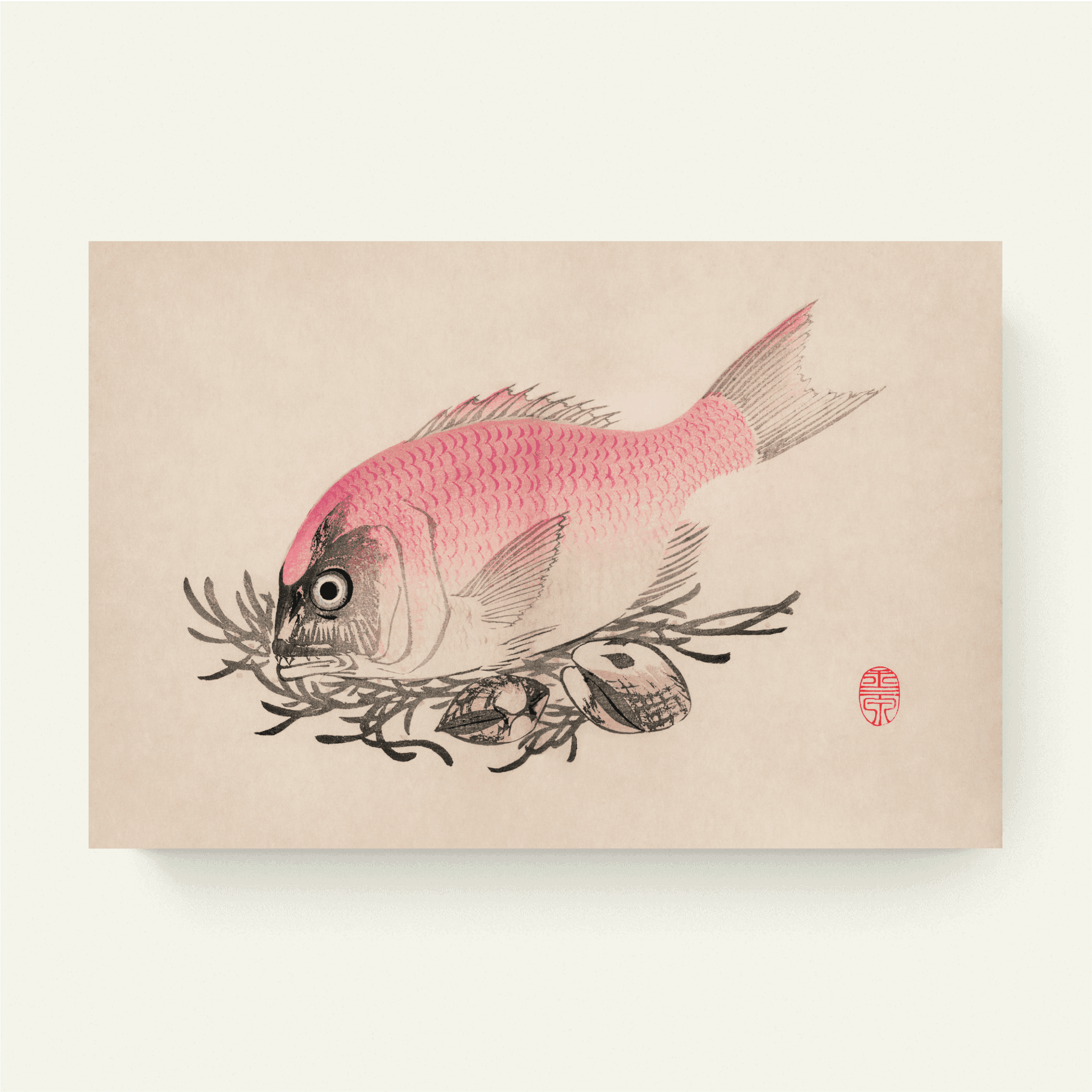 Fish illustration – Mochizuki Gyokusen