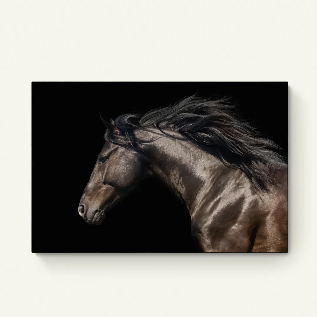 Galop in het Donker