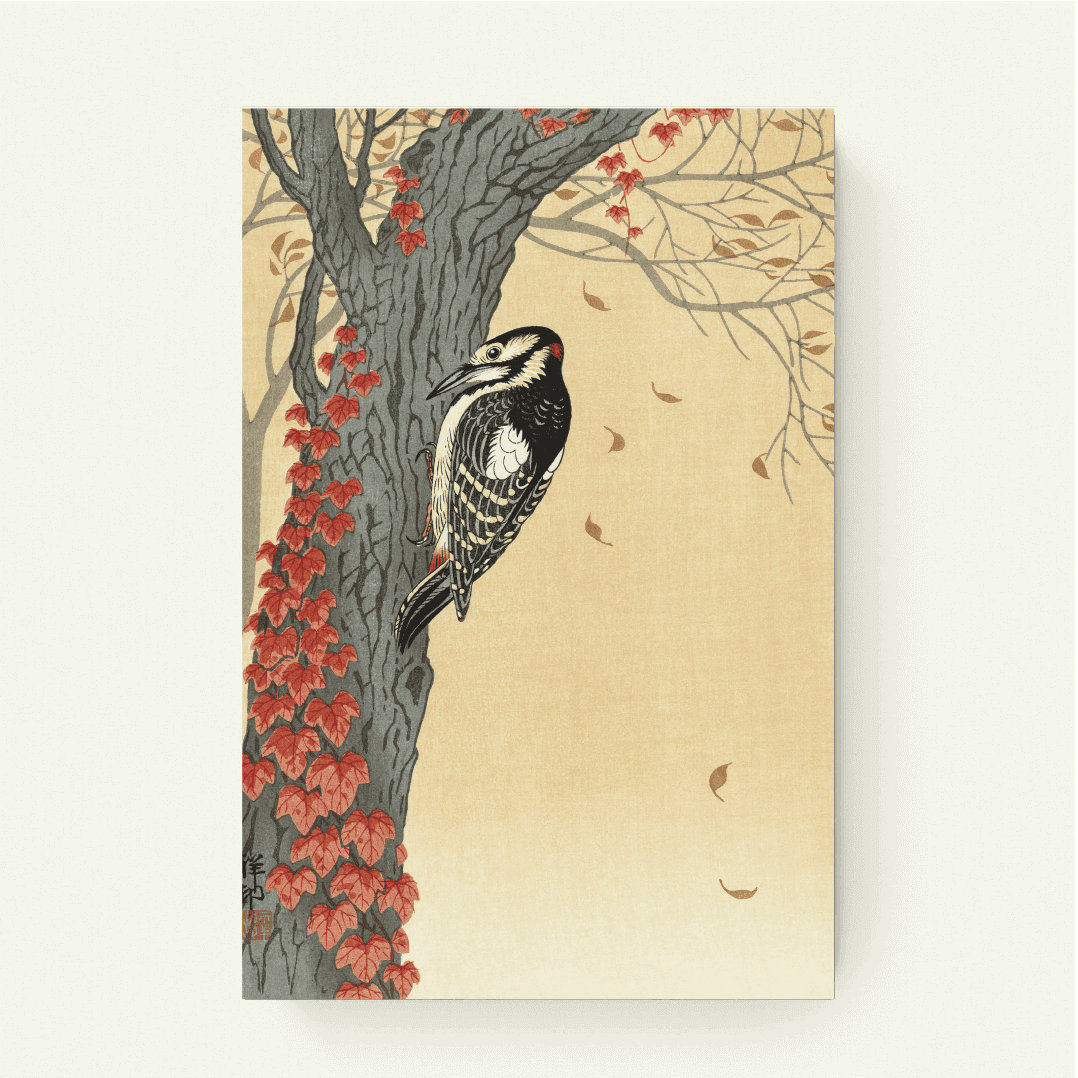 Grote bonte specht in boom met rode klimop – Ohara Koson