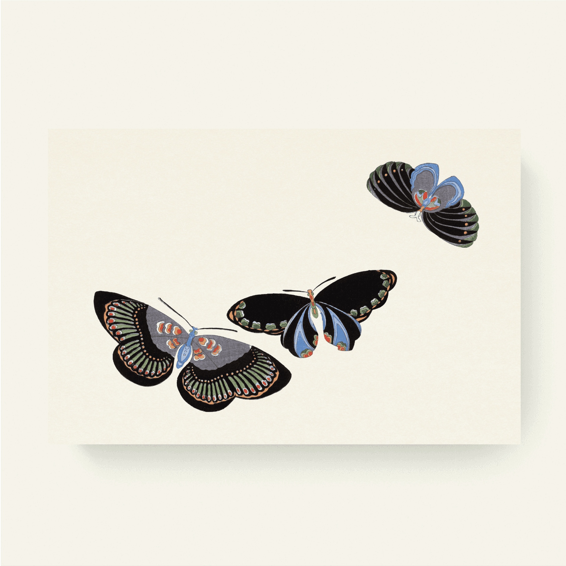 Japanese butterfly