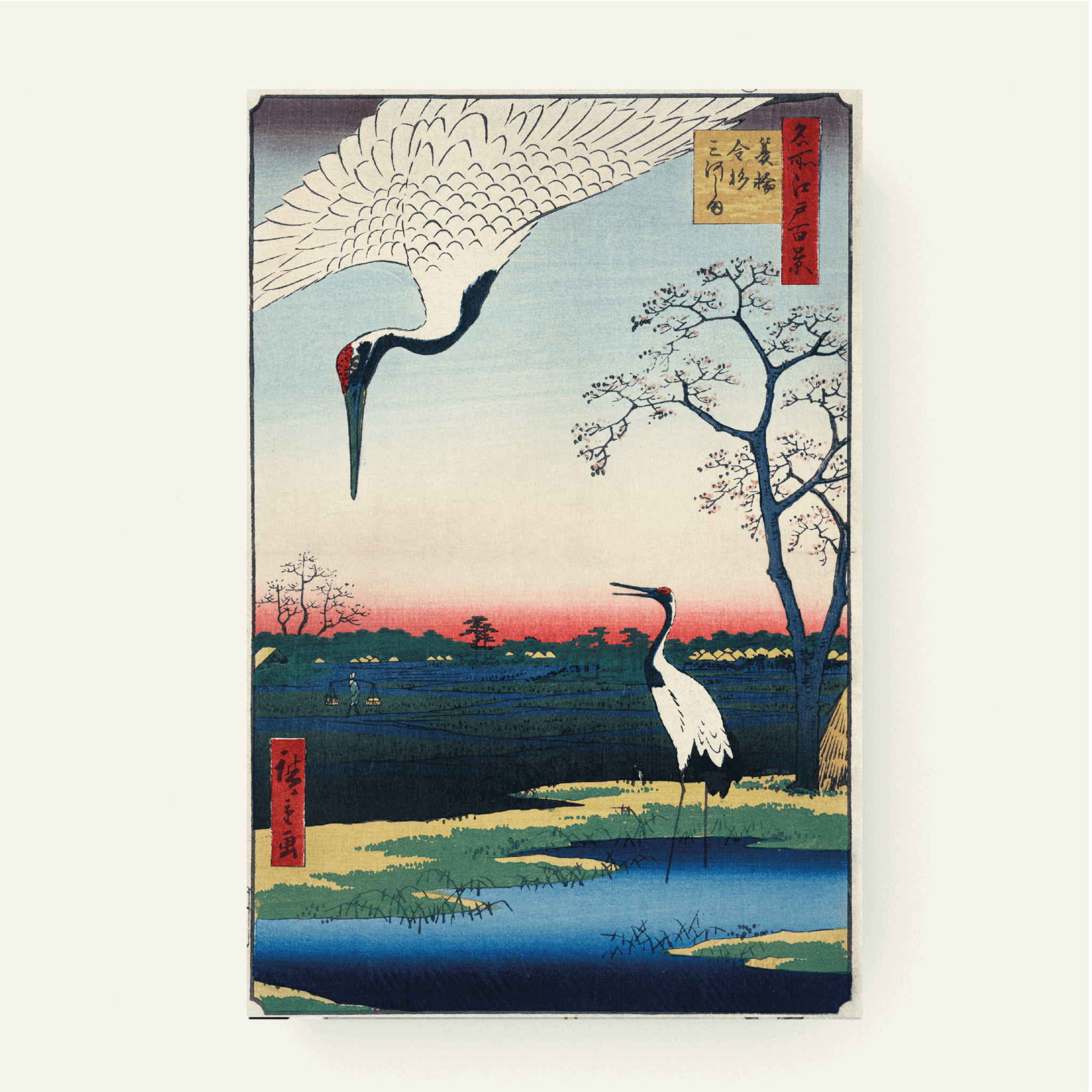 Japanse Kraanvogels