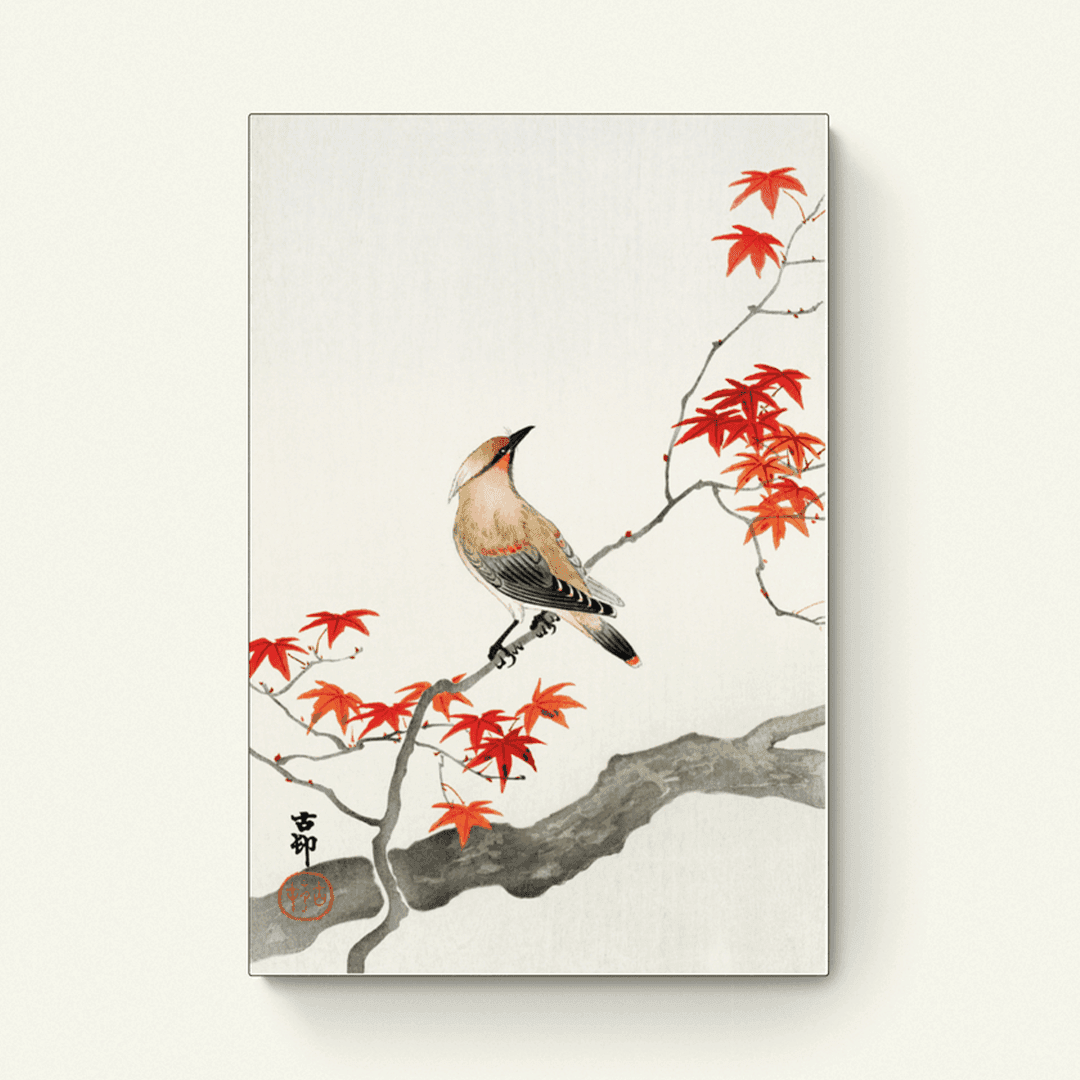 Japanse pestvogel op esdoorn – Ohara Koson