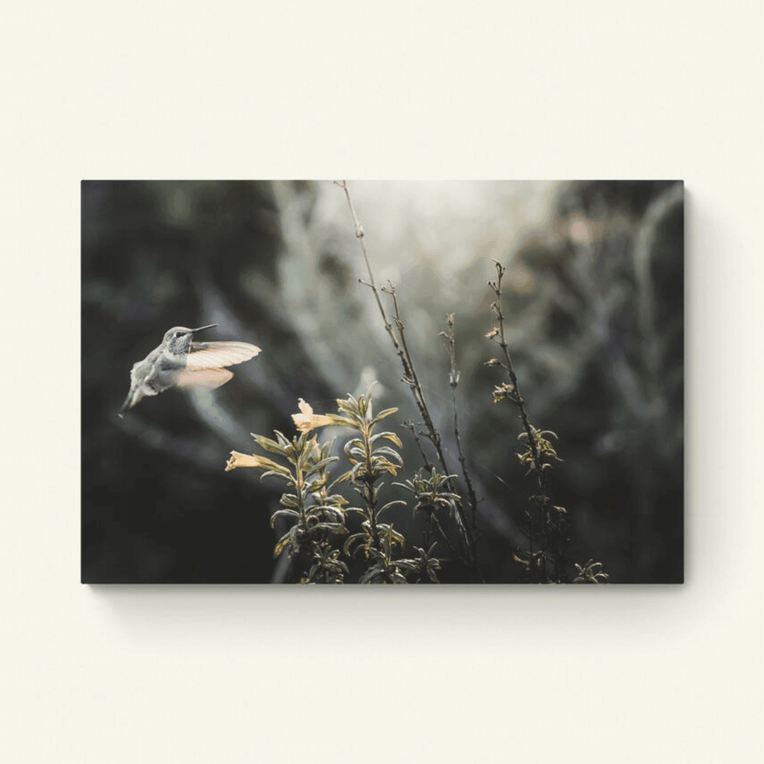 Kolibrie met een bloem