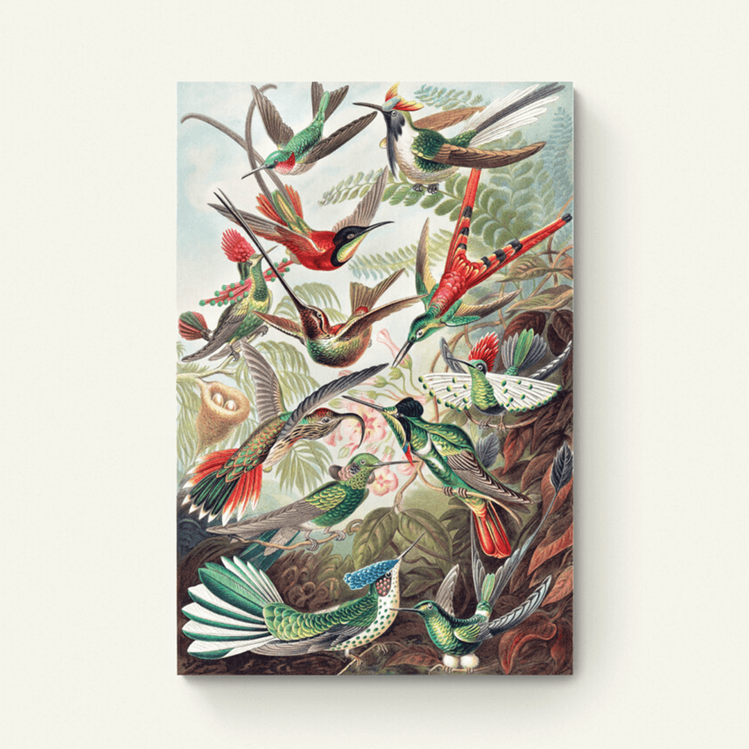 Kolibris's Kunstformen der Natur