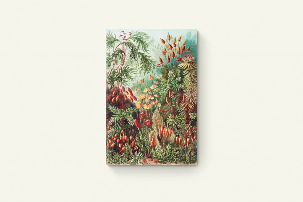 Kunstformen der Natur III