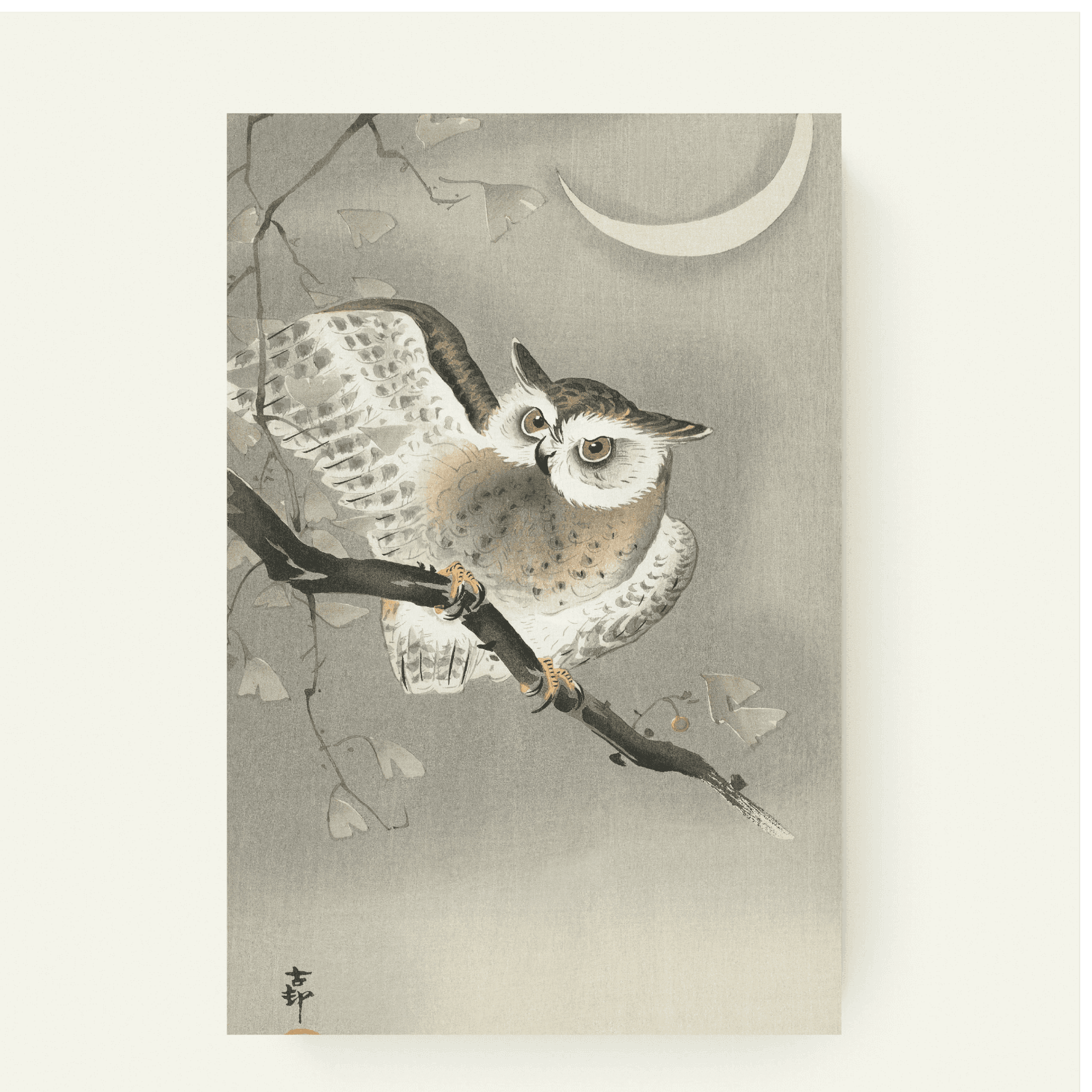 Long-eared Owl in Ginkgo – Ohara Koson