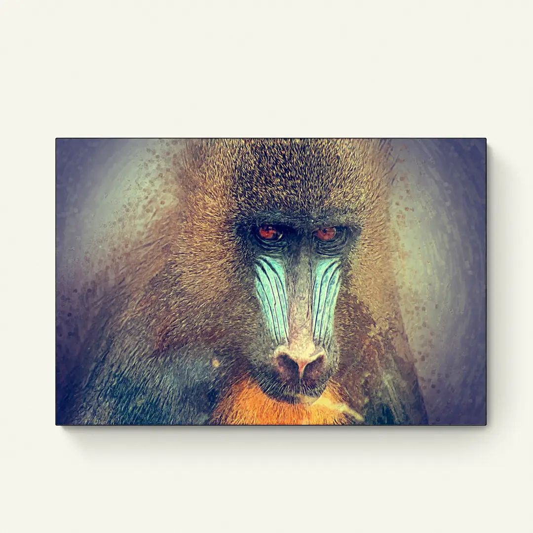 Mandril Aapje