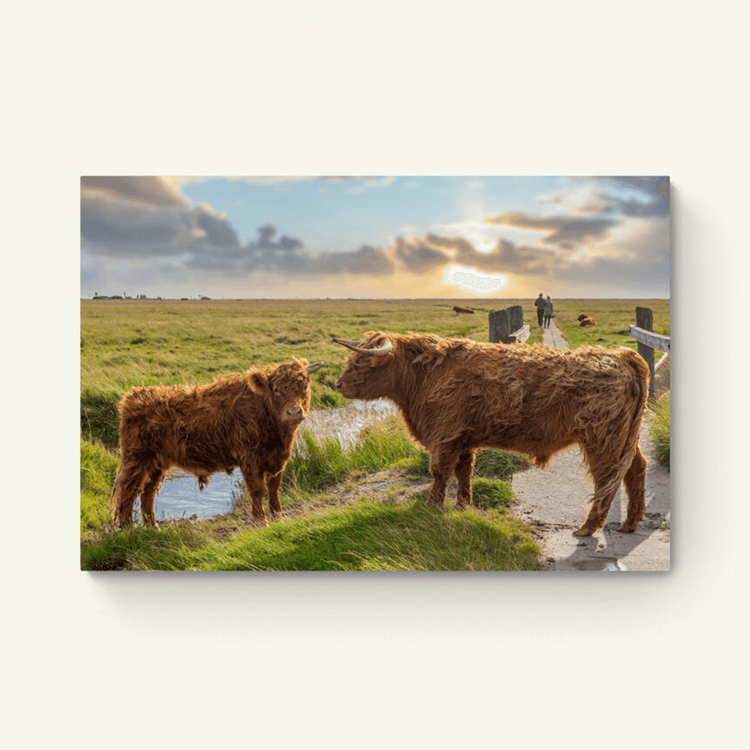 Moeder en Kind hooglanders