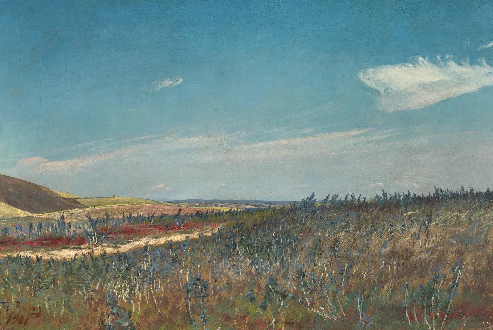 Akker met bloeiend slangenkruid bij Frederiksværk – Laurits Andersen Ring