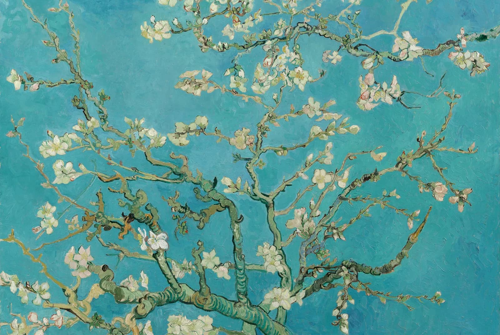 Amandelbloesem – Vincent van Gogh