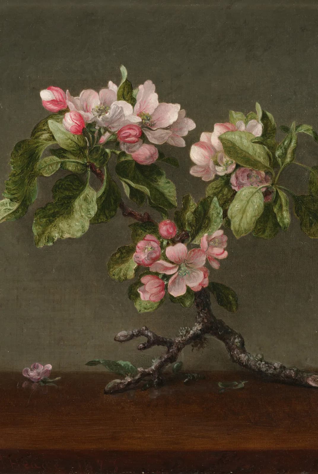 Appelbloesem – Martin Johnson Heade