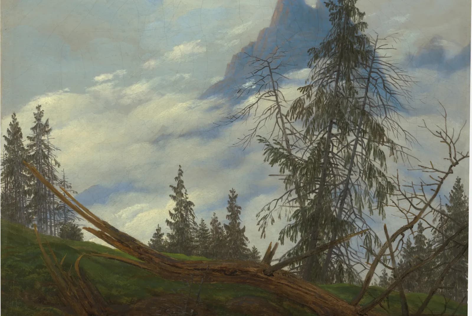 Berglandschap met omgevallen boom – Caspar David Friedrich
