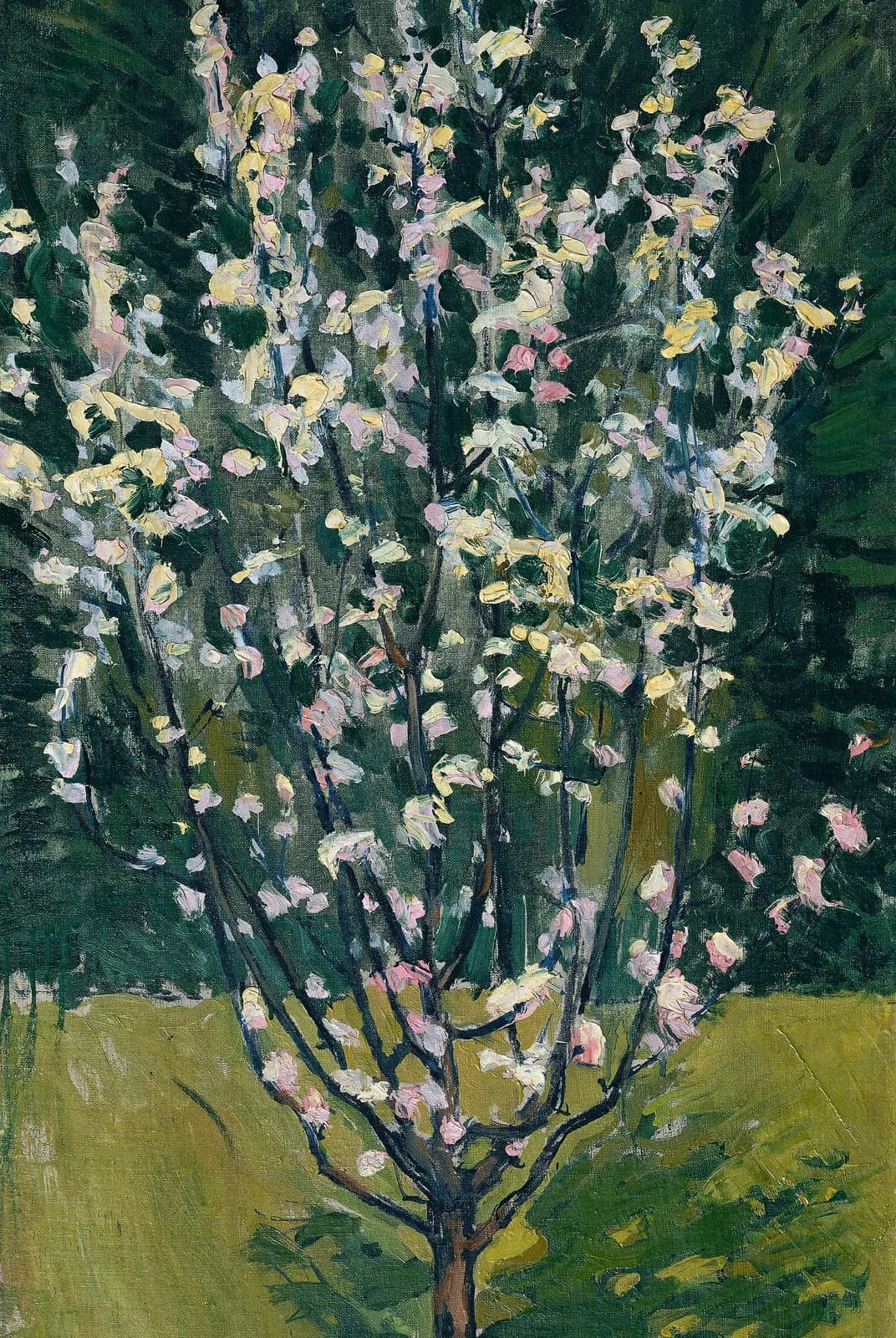 Bloeiend boompje – Koloman Moser