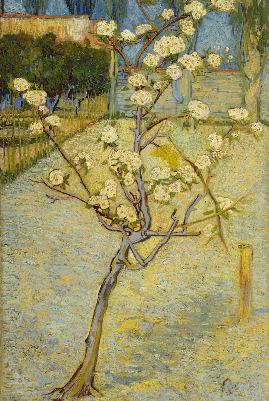 Bloeiend perenboompje – Vincent van Gogh