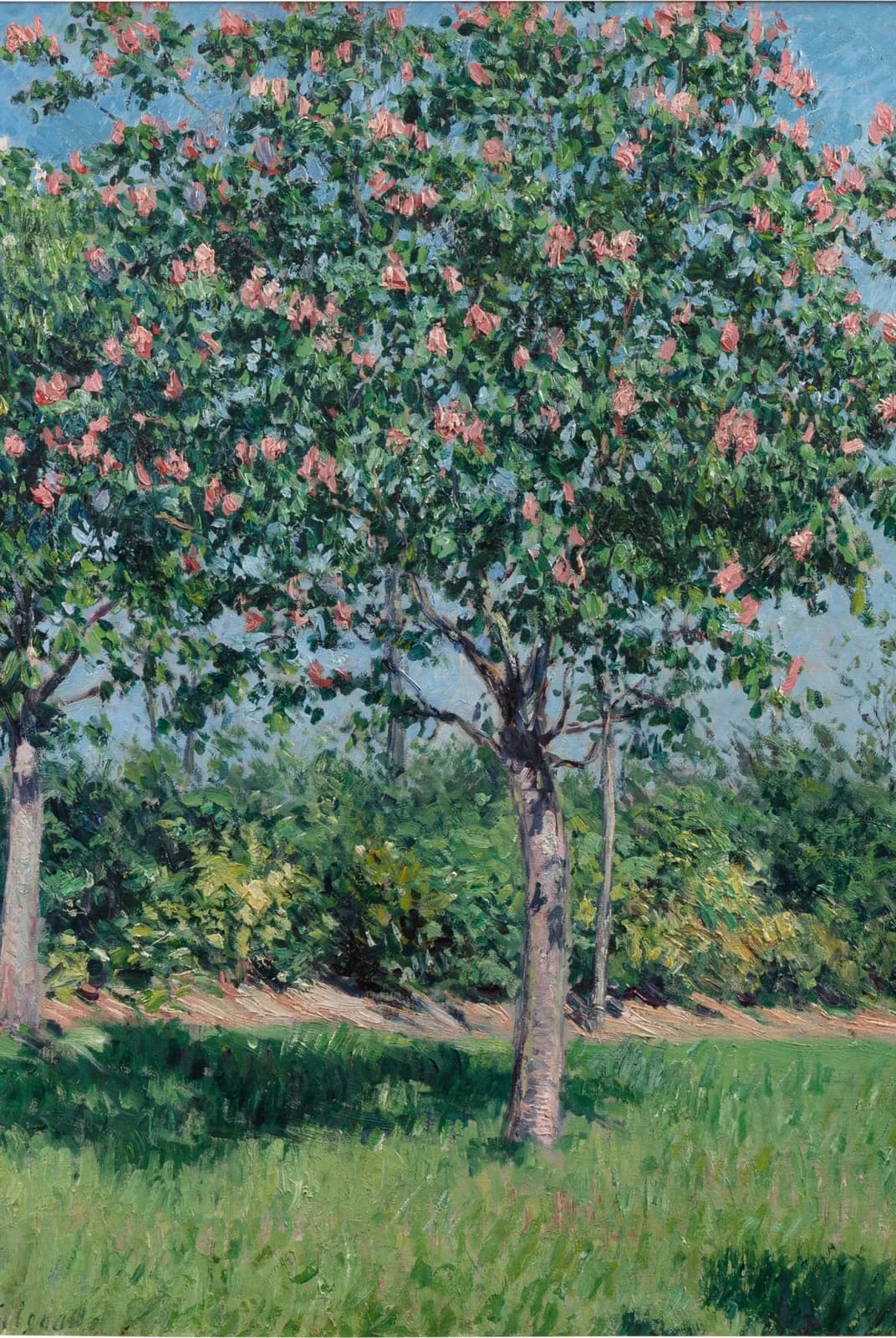 Bloeiende kastanjebomen, vlakte van Argenteuil – Gustave Caillebotte