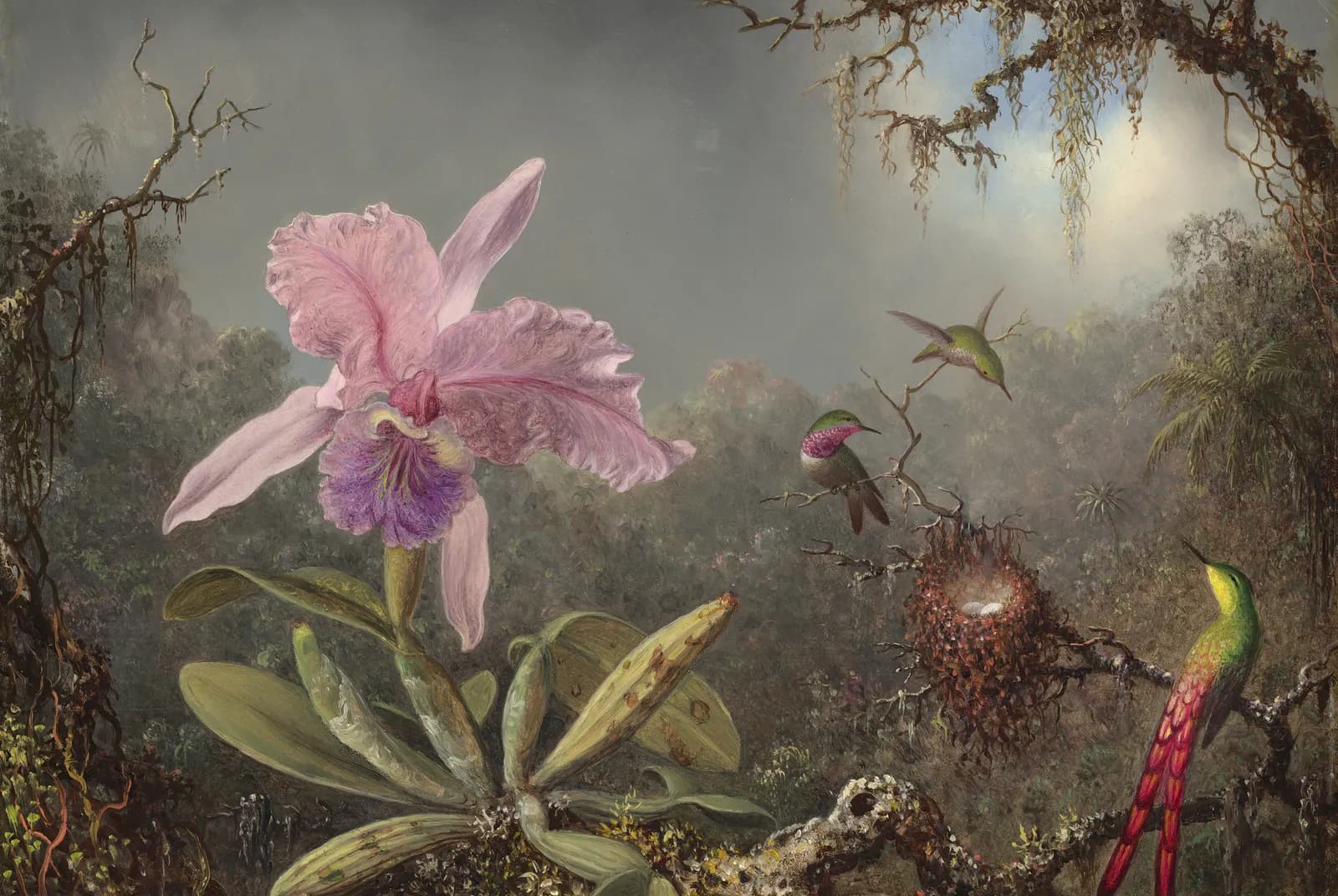 Cattleya-orchidee en drie kolibries – Martin Johnson Heade