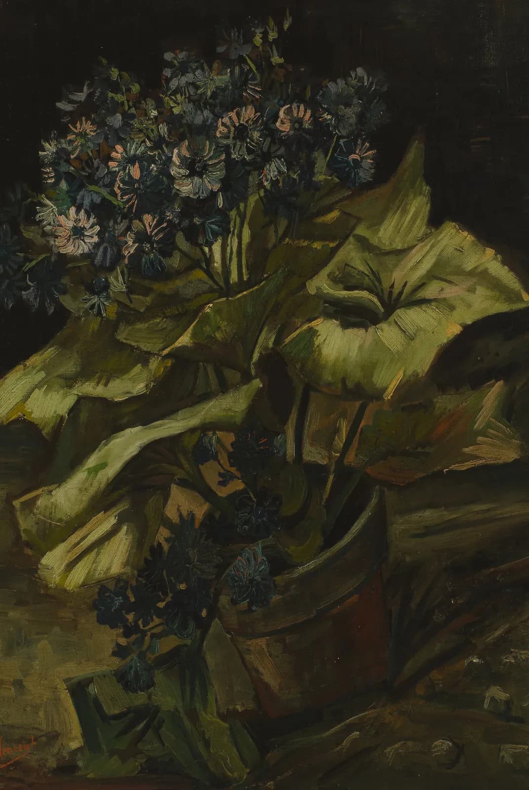 Cineraria – Vincent van Gogh