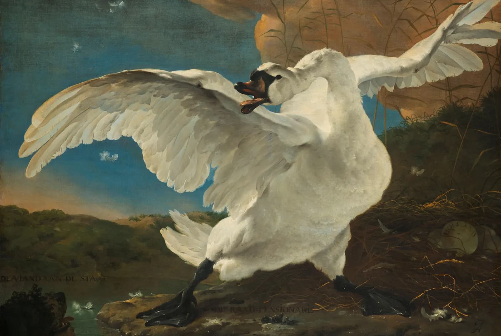 De bedreigde zwaan – Jan Asselijn