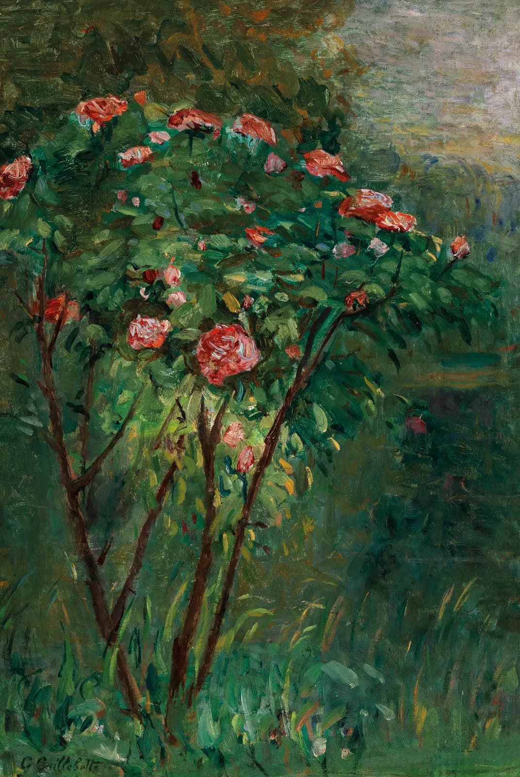 De bloeiende rozenstruik – Gustave Caillebotte