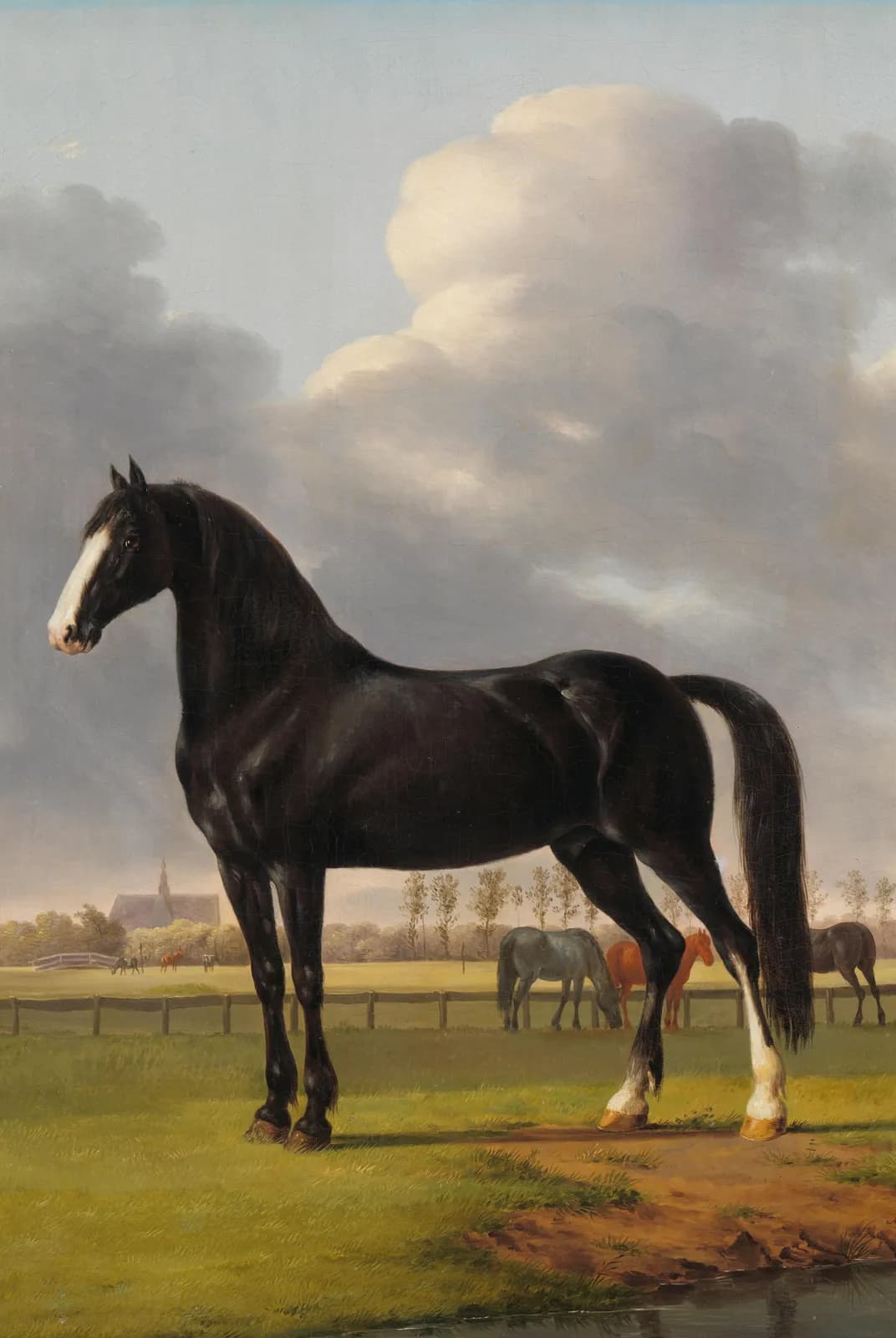 De harddraver De Vlugge van Adriaan van der Hoop in de wei – Anthony Oberman