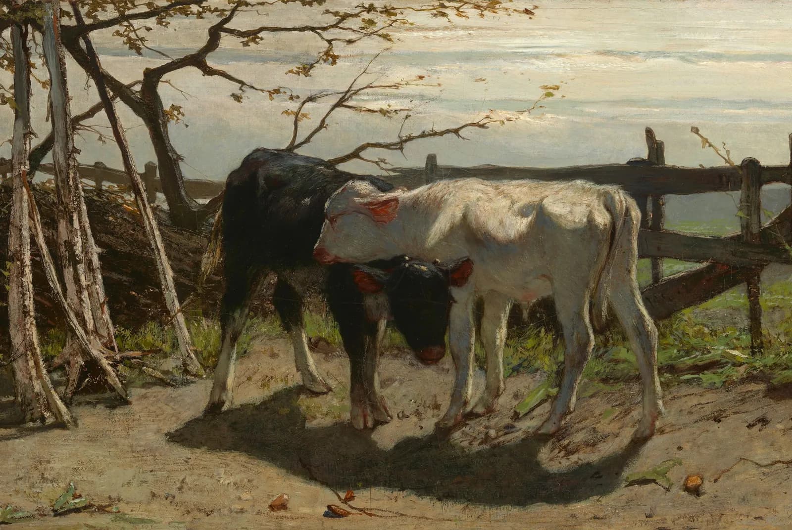 De kalfjes – Willem Maris