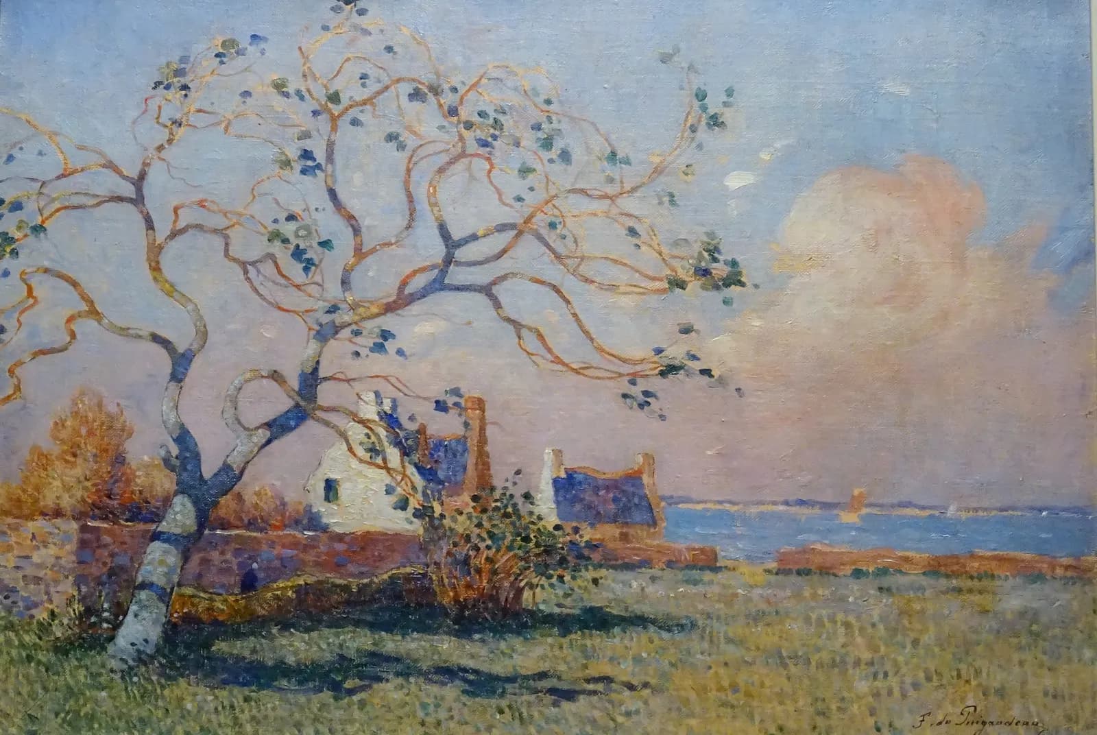 De oude vijgenboom in Pénerf – Ferdinand du Puigaudeau