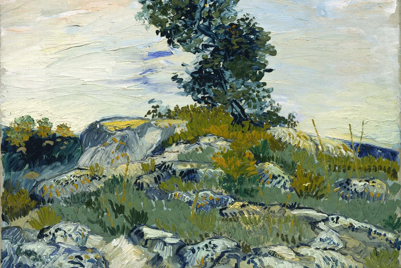 De rotsen – Vincent van Gogh