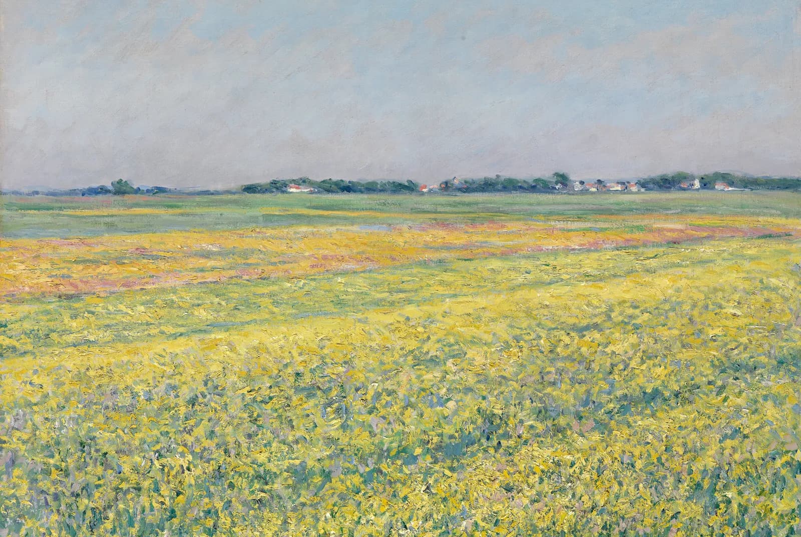 De vlakte van Gennevilliers, gele velden – Gustave Caillebotte