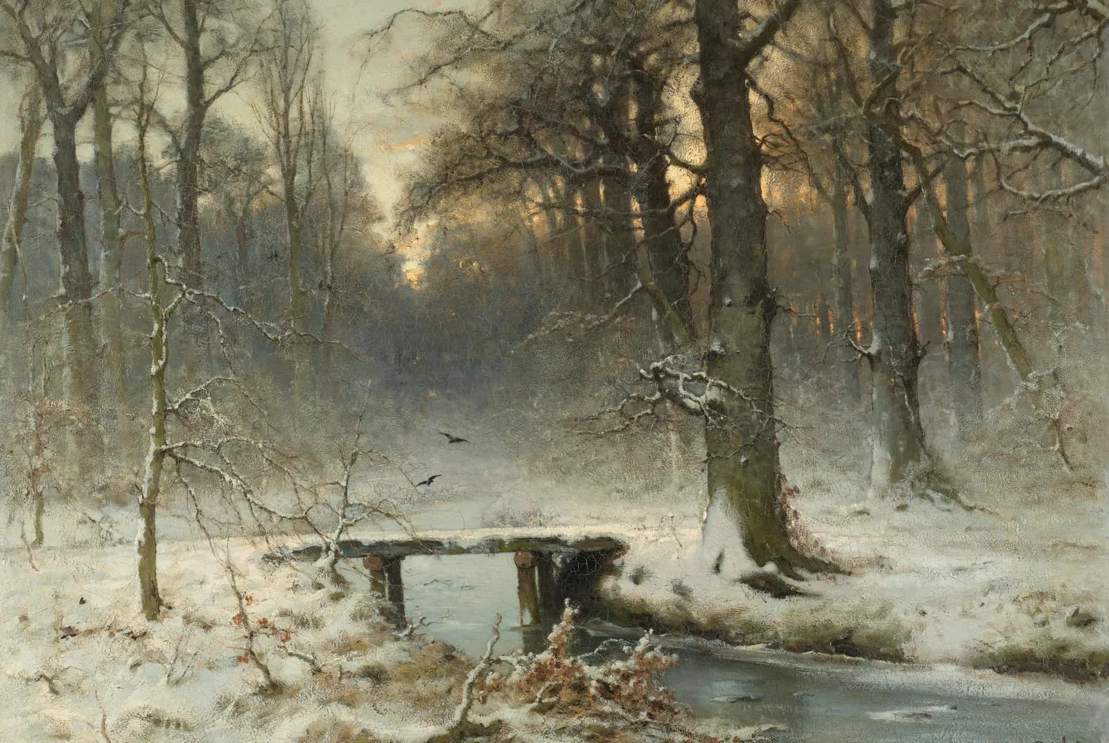 Een januari-avond in het Haagse Bos – Apol