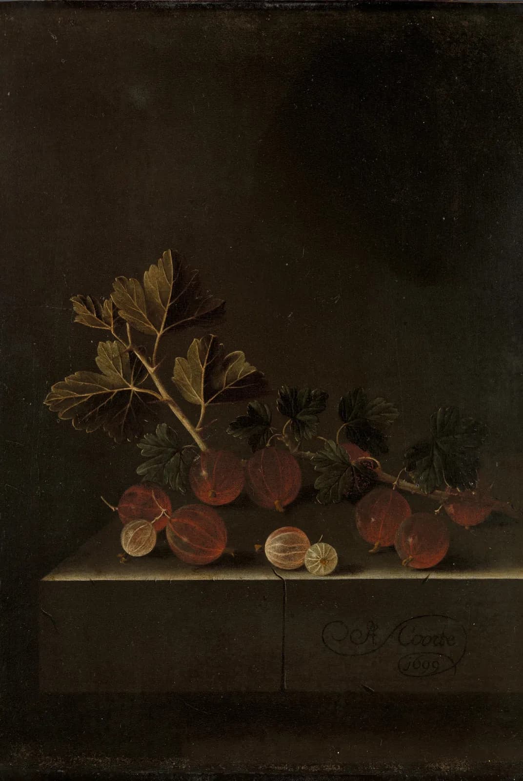 Een takje kruisbessen op een stenen plint – Adriaen Coorte