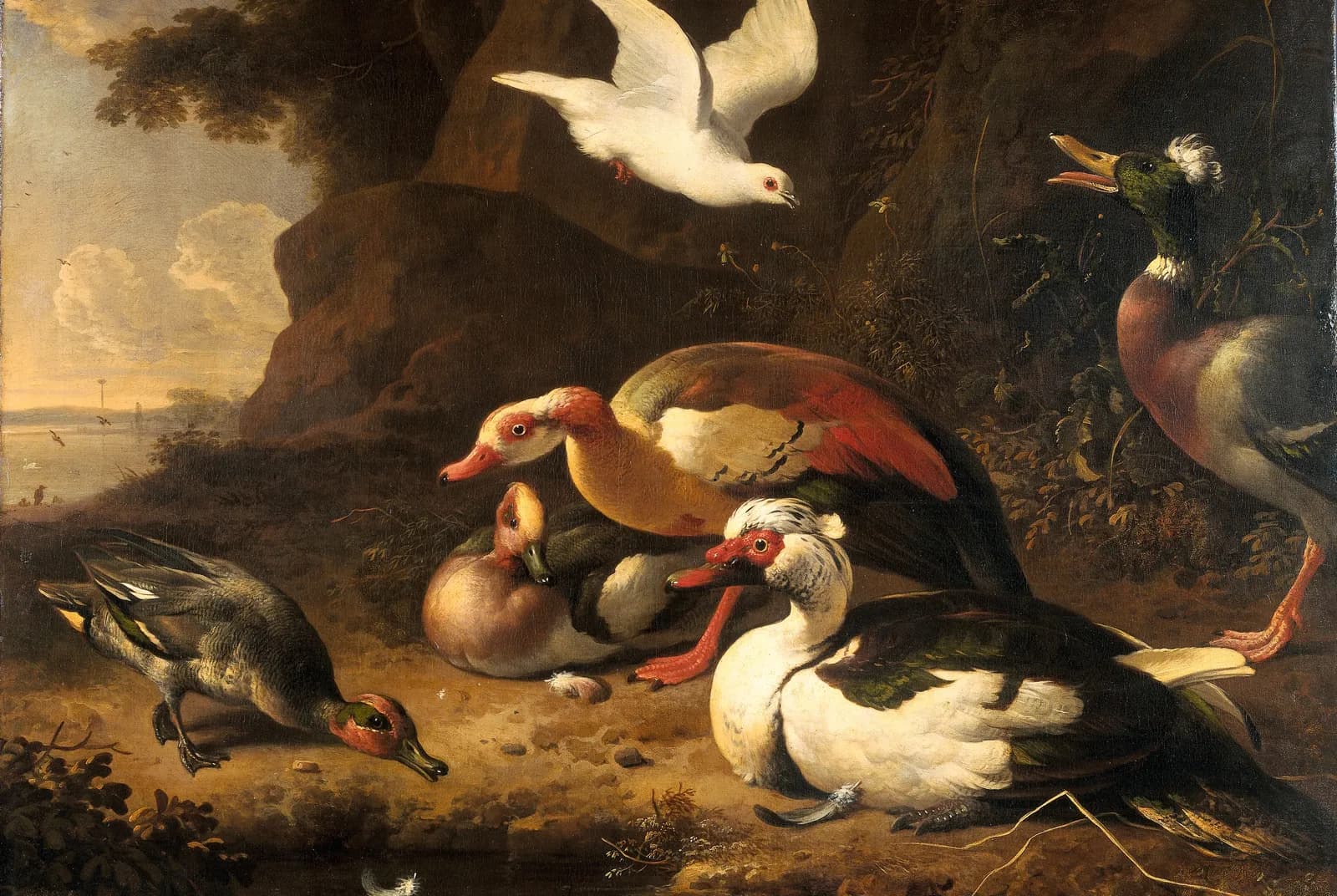 Eenden – Melchior d'Hondecoeter