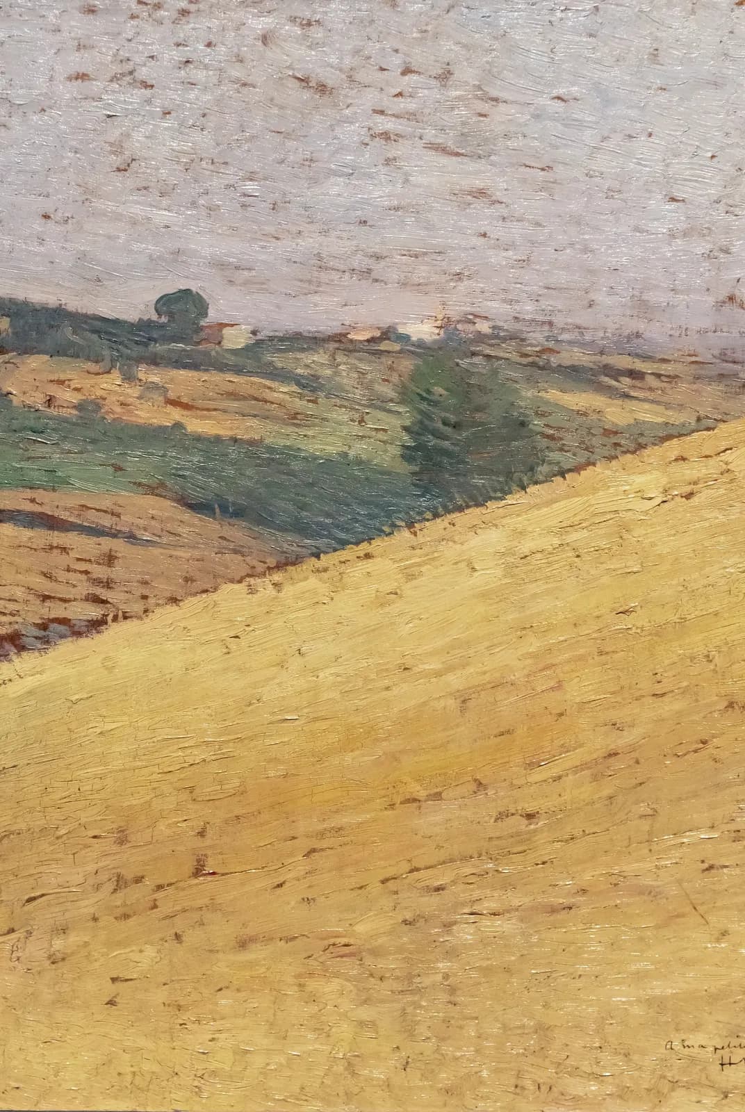 Gouden velden – Henri Martin