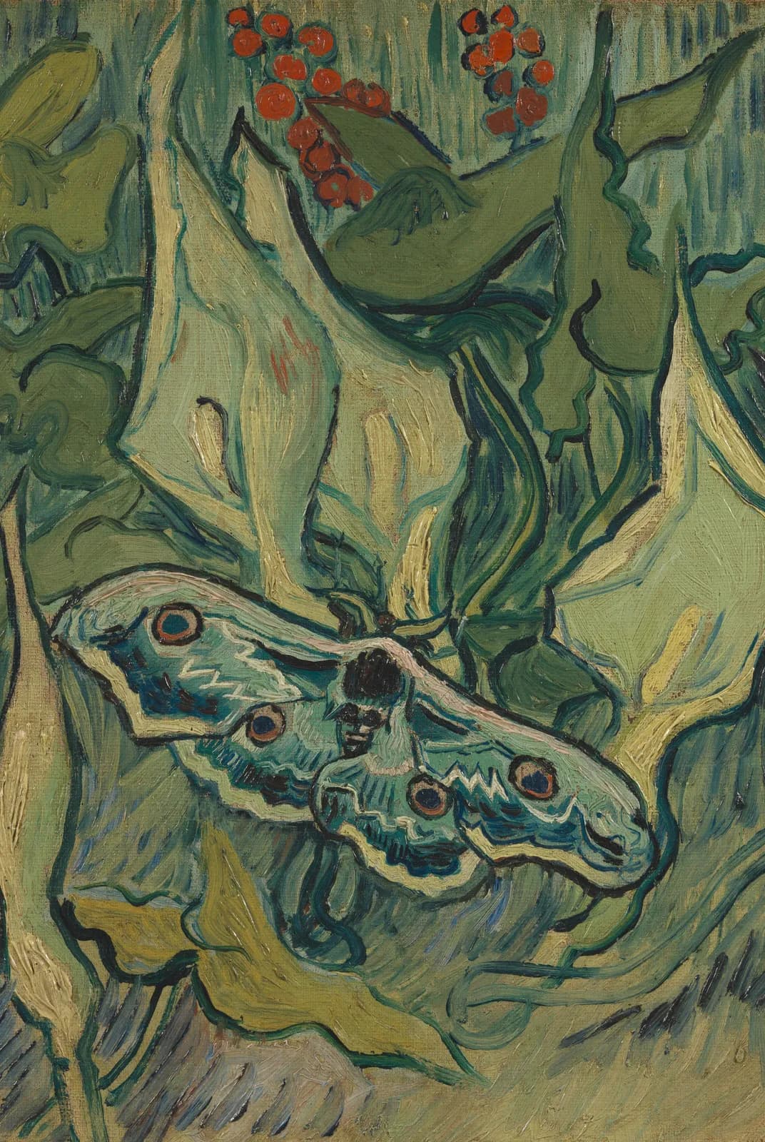 Grote nachtpauwoog – Vincent van Gogh