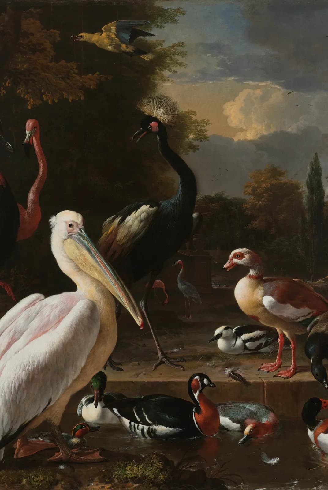 Het drijvend veertje – Melchior d'Hondecoeter