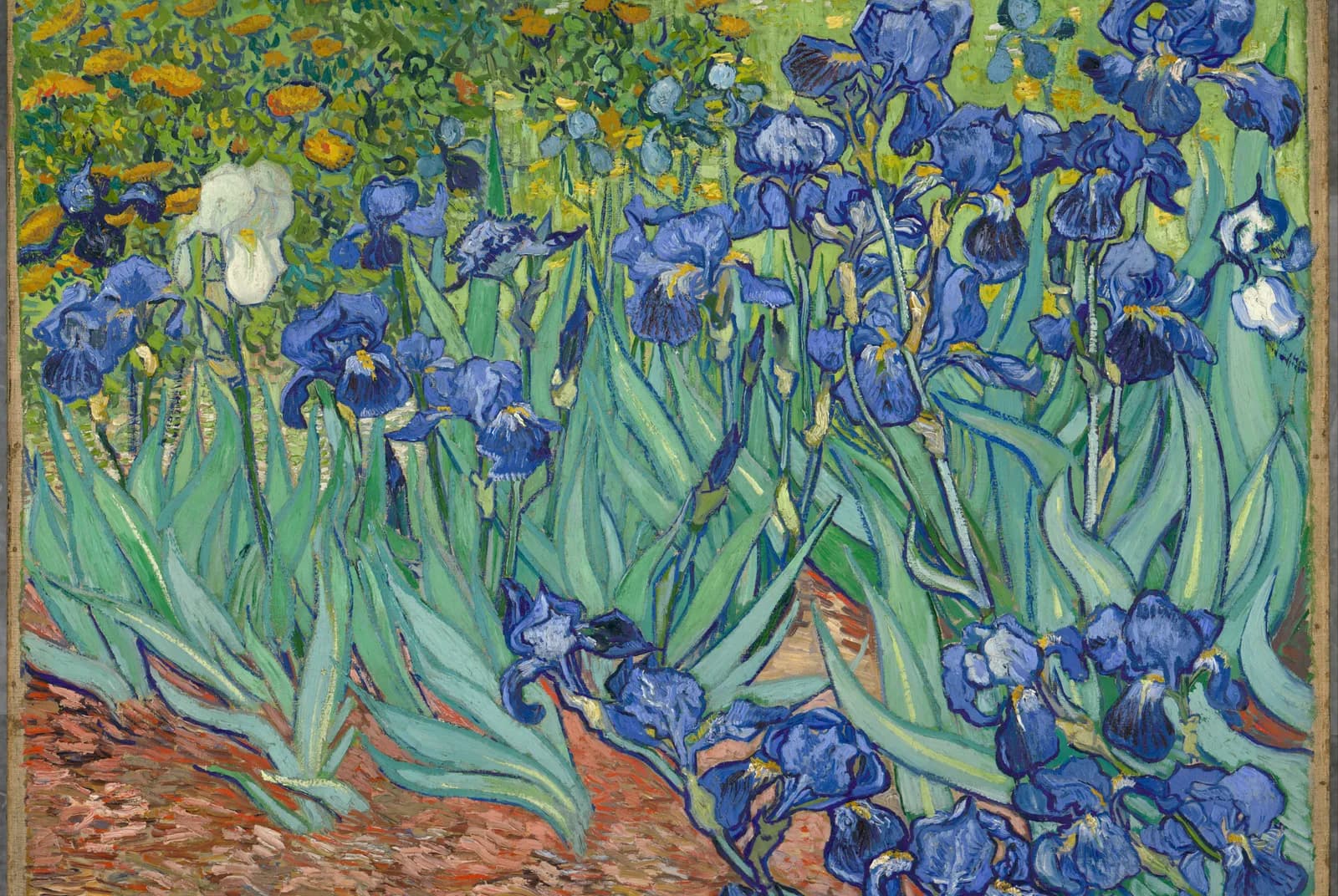 Irissen – Vincent van Gogh