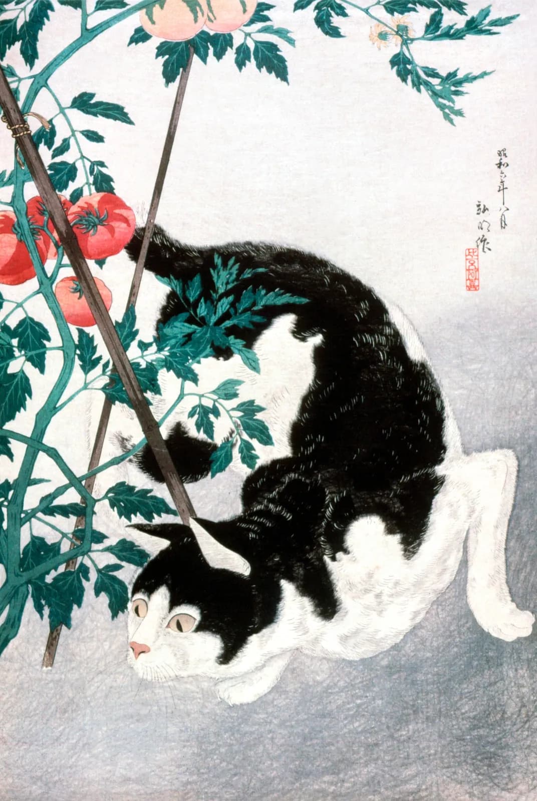 Kat bij de tomatenplant – Takahashi Hiroaki