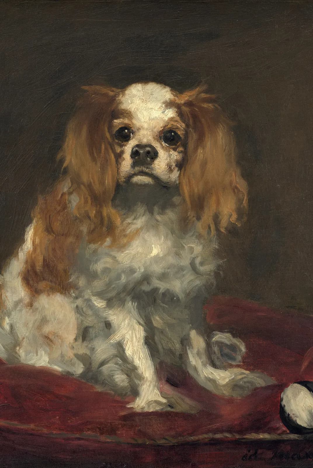 King Charles-spaniël – Édouard Manet