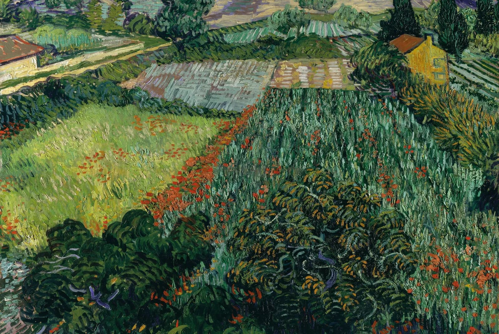Klaprozenveld – Vincent van Gogh