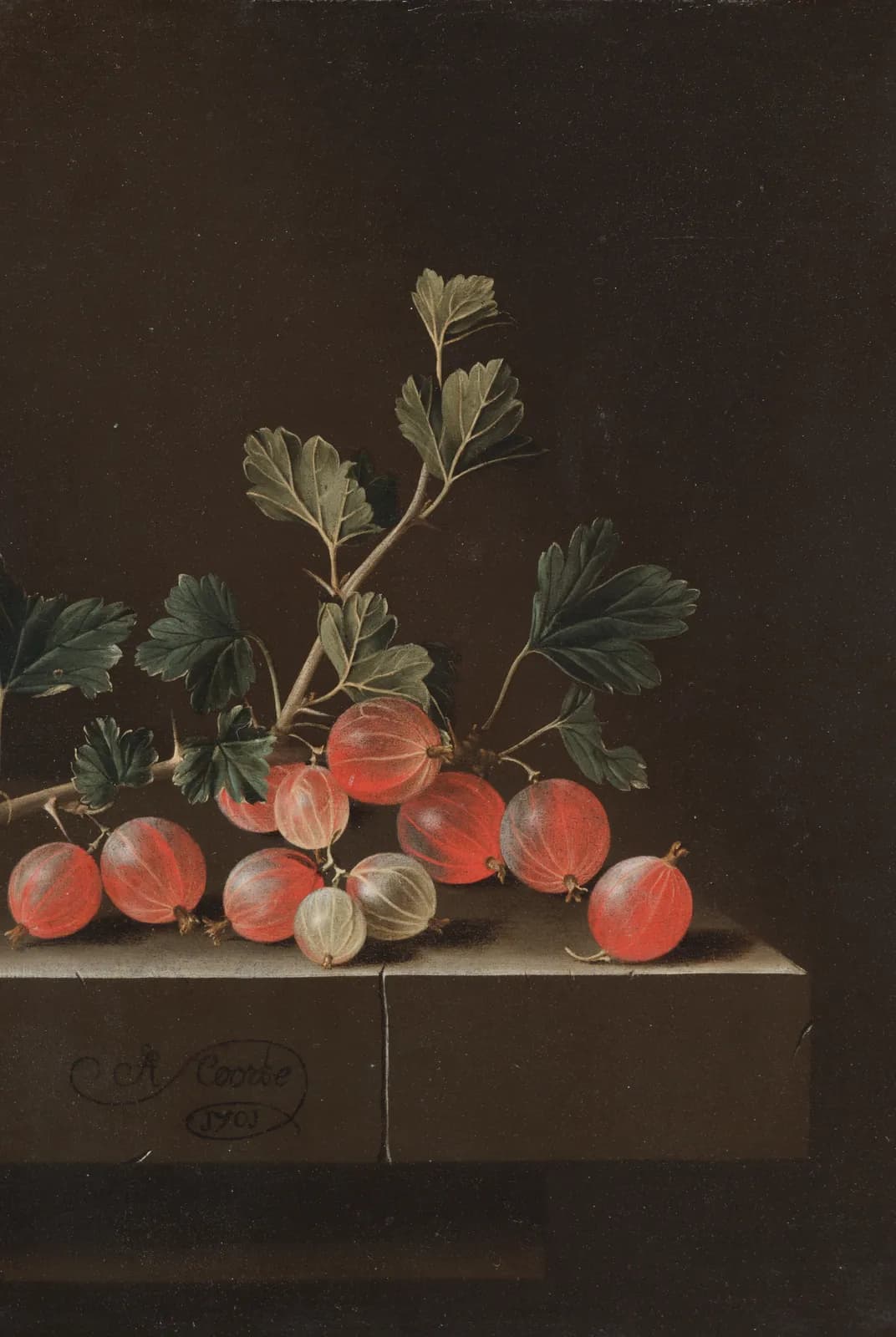 Kruisbessen op een tafel – Adriaen Coorte