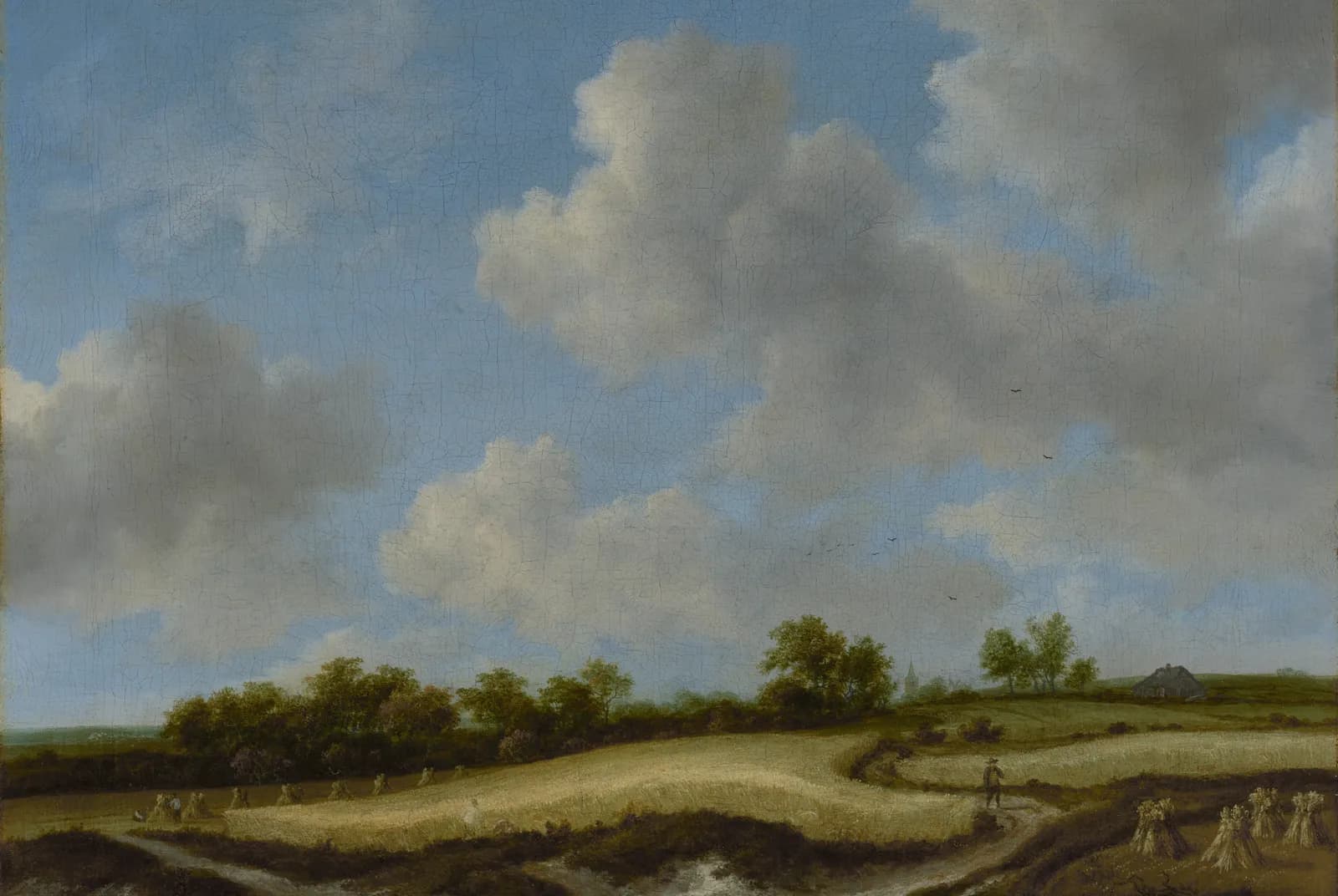 Landschap met een Korenveld – Jacob van Ruisdael