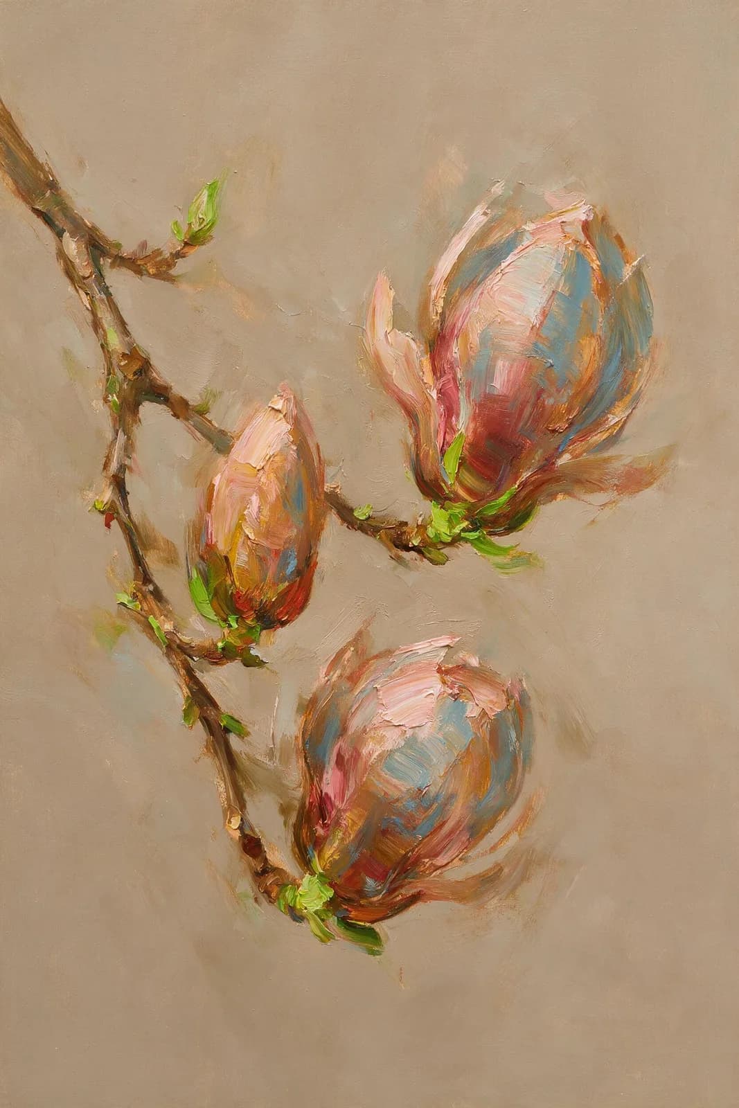 Magnolia in knop