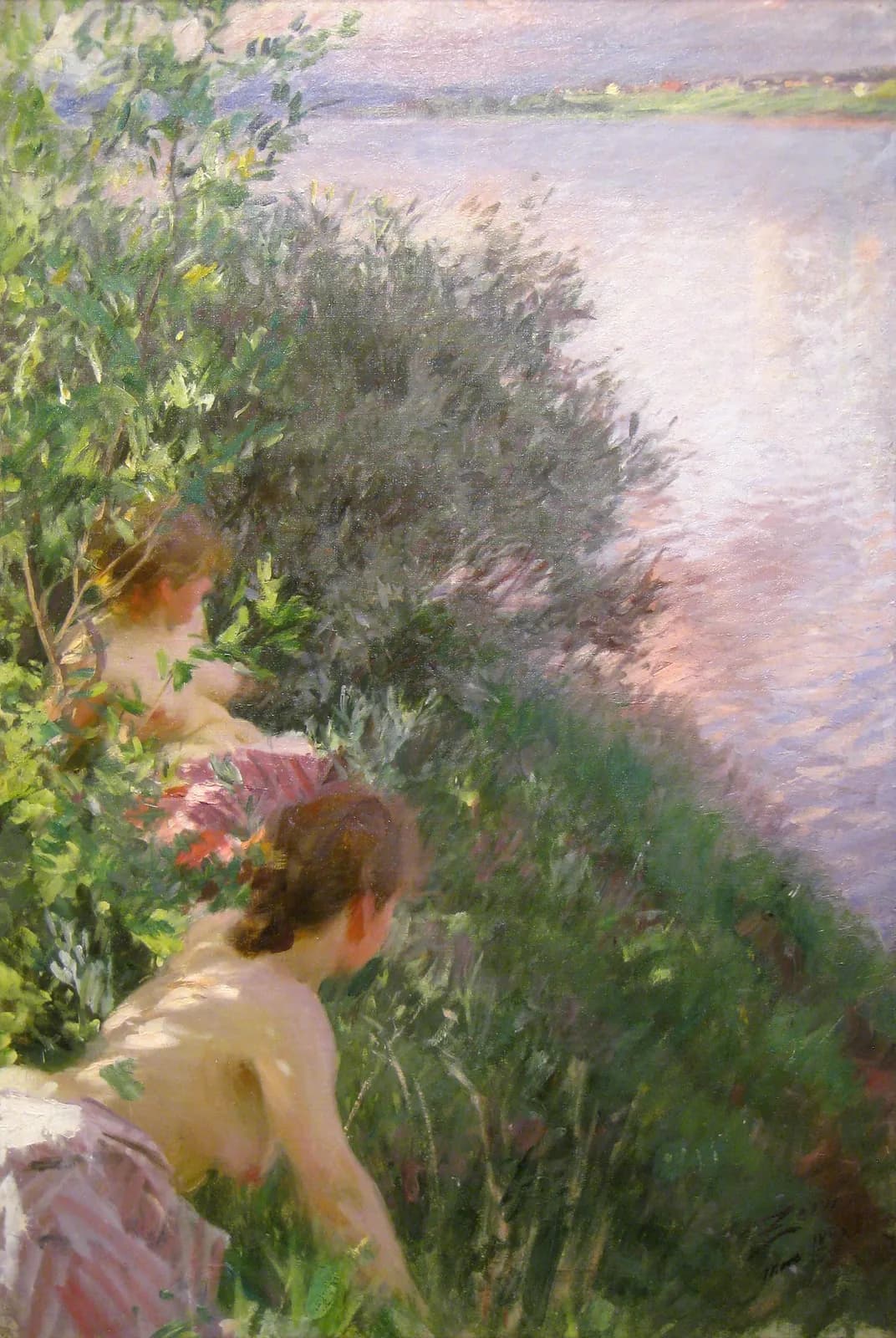Opaalschijnsel – Anders Zorn